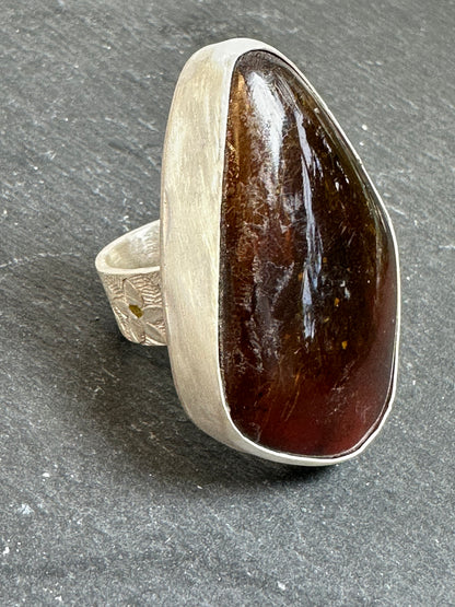 Lhama 047