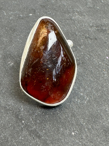 Lhama 047