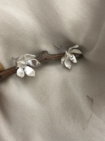 Peach Blossom 033