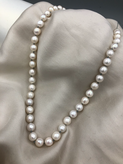 Classic Pearl 008