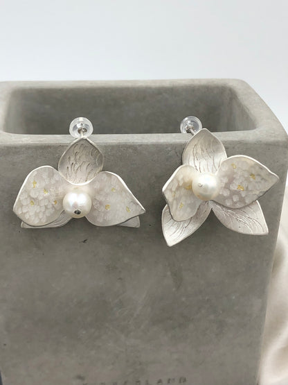 Orchid 001