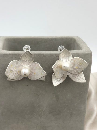 Orchid 001