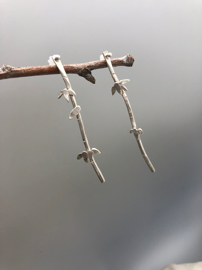 Bamboo 004