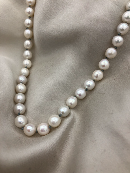 Classic Pearl 008